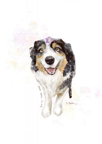 baa Baa · 畫坊 - 狗狗畫像