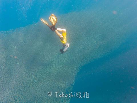 Takashi攝影 - 宿霧水下攝影