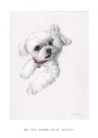 小路 - 創作媒材：水性色鉛筆、水彩