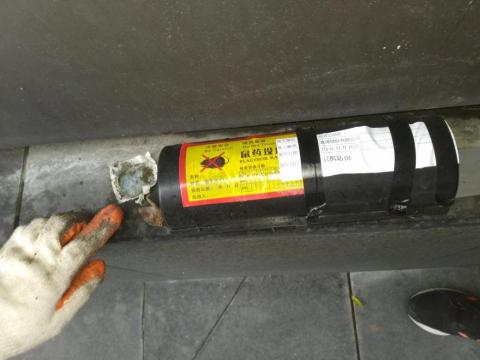 嘉澤滅鼠封堵防治工程 - 鼠餌站鼠藥架設降低外圍鼠患 嘉澤滅鼠封堵防治工程 - 鼠餌站鼠藥架設降低外圍鼠患