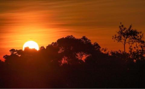 Ming N 吳錦明 -  Ming N 吳錦明 -