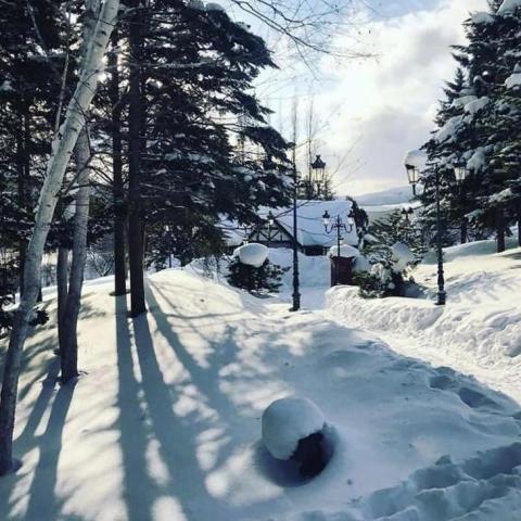 Ming N 吳錦明 -  Ming N 吳錦明 -