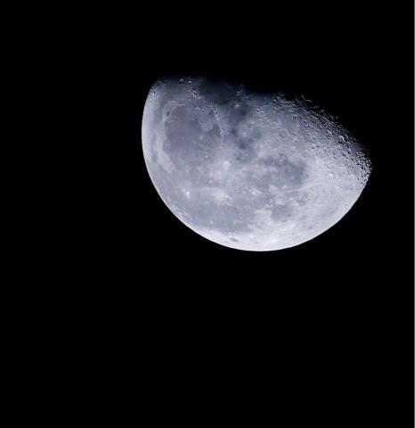 Ming N 吳錦明 -  Ming N 吳錦明 -