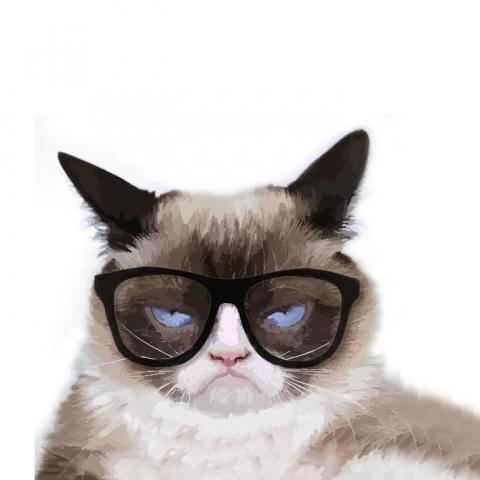 提供合作金庫銀行客服服務的專家謝芸瑀