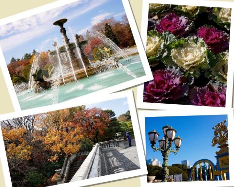 Ming N 吳錦明 -  Ming N 吳錦明 -