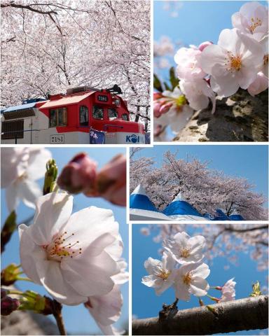 Ming N 吳錦明 -  Ming N 吳錦明 -