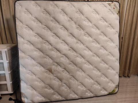 懶人除蟎服務-居家環境守護健康 - 