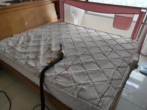 懶人除蟎服務-居家環境守護健康 - 