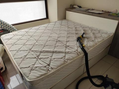 懶人除蟎服務-居家環境守護健康 - 