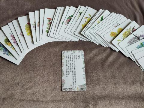 Healingflowerremedy - 巴哈花精諮詢