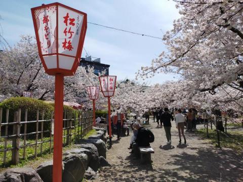 柚子先生 - 京都的円山公園