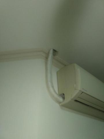 嘉澤滅鼠封堵防治工程 - 鼠刷封堵 嘉澤滅鼠封堵防治工程 - 鼠刷封堵