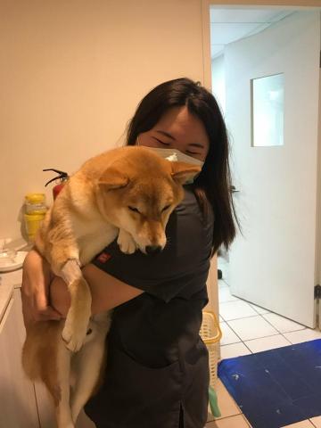 吾托寵物到府保母 - 