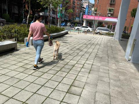 以毛為主工作室 - 散步服務30分/$200