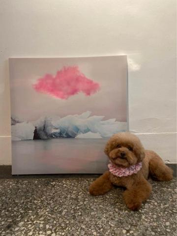 【Lucine】毛孩專屬秘書❤️寵物美容師|10年寵物經驗| - 主人的回饋照❤️ 【Lucine】毛孩專屬秘書❤️寵物美容師|10年寵物經驗| - 主人的回饋照❤️