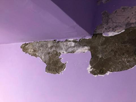 防水-壁癌處理-油漆工程 - 