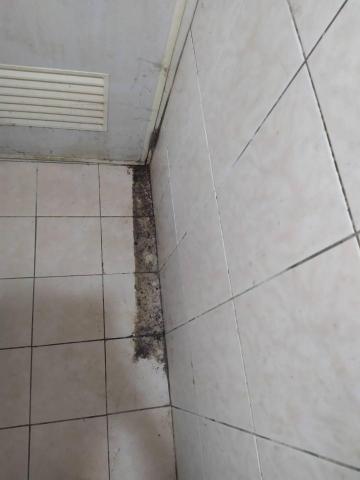 淨居家清潔 - 廁所磁磚【清潔前】