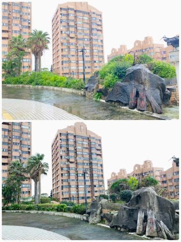 廷苑園藝工程行 - 社區維護 廷苑園藝工程行 - 社區維護