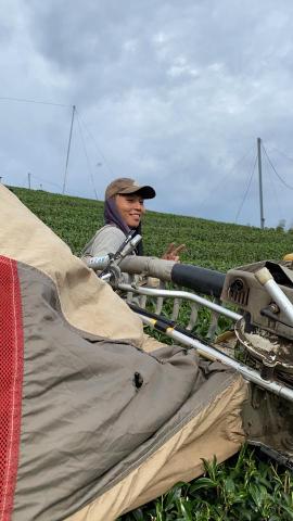 Chen.Ziwei - 務農生活