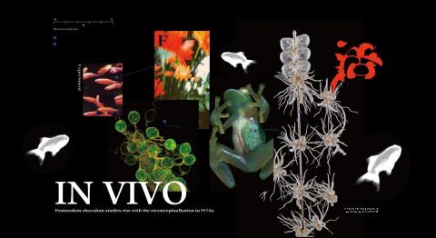 Yuki★小小個人工作坊 - 圖片後製(練習版本)