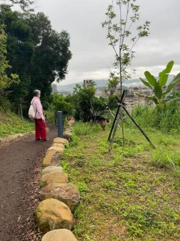 翁淑華 - 山上兩寶一起蹓米克斯靈巧善跑
狼犬老實聽話對米克斯的行動很好奇