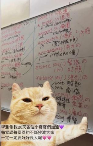 Elain - 高中單字「字根字首教學法」～效率記憶困難單字！
養出充足且紮實之單字量，勇敢迎戰學測英文！