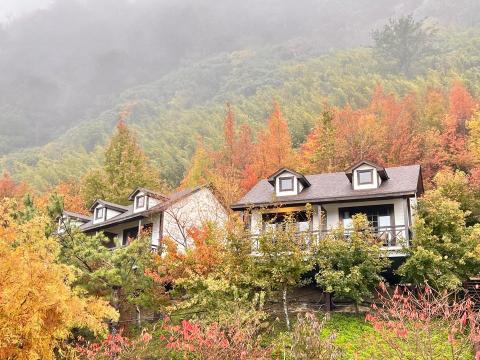 翔程旅遊XCTour - 司馬庫斯～上帝的部落