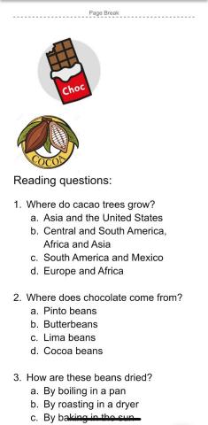 邱樊 - 自製英文閱讀測驗題