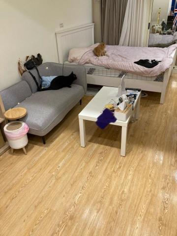 英喬伊清潔服務團隊 - 