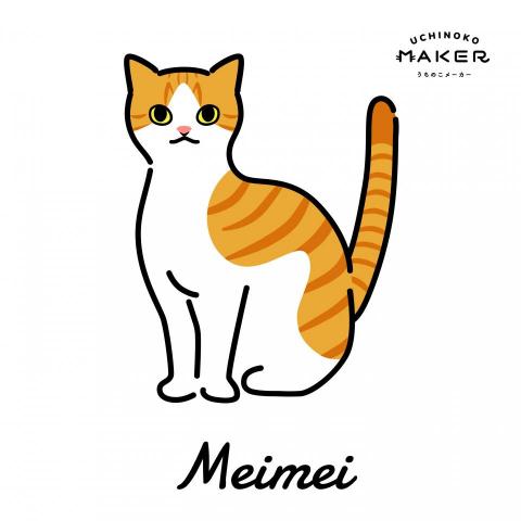 提供dcard寫手服務的專家張瑋瑋