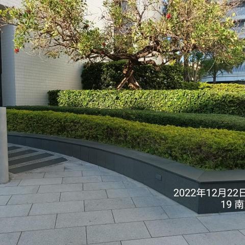 提供割草服務的專家梁文男