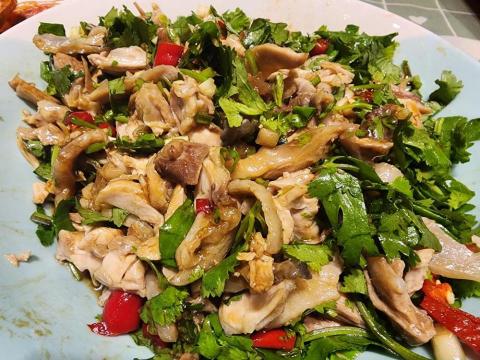 王苓格（小米廚房） - 辣拌雞腿肉絲