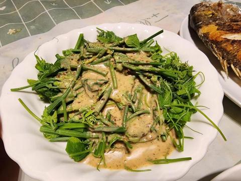 王苓格（小米廚房） - 胡麻龍鬚菜