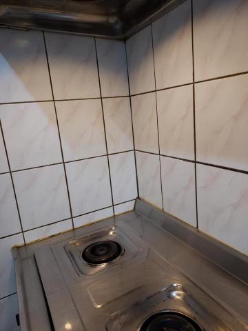 家蓁清潔收納整理師 - 瓦斯爐清潔後