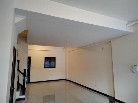 未命名公司（零星維修） - 新作天花板