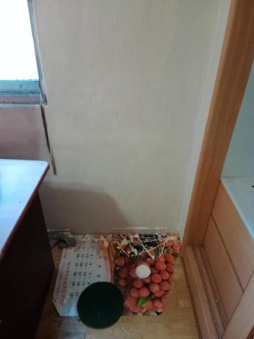 榮司萊德社會企業 - 壁癌處理