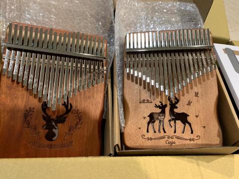 邵淑蘭 - 21音拇指琴 邵淑蘭 - 21音拇指琴