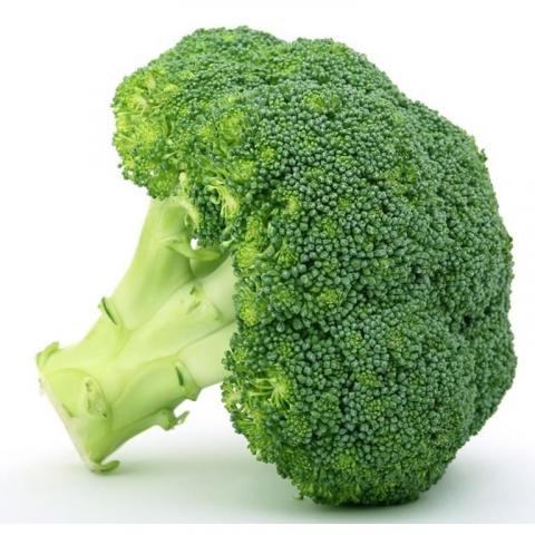 提供gemini比較服務的專家花椰菜會剪影片