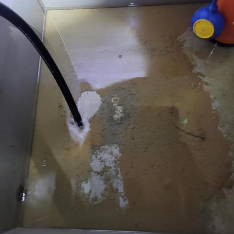 萬光福 - 污水槽清洗