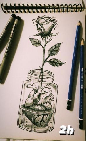 Zoe Lin - 代針筆畫作作品