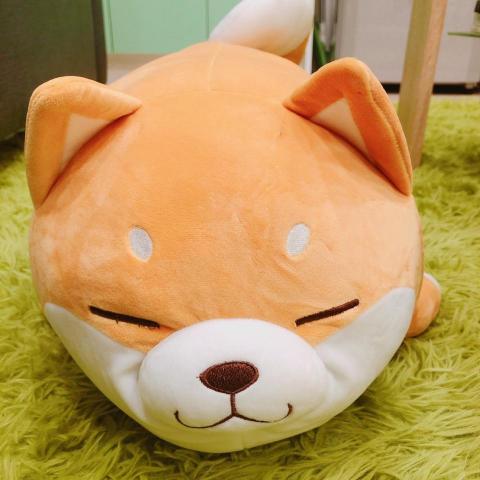 金牌教師 金牌教師