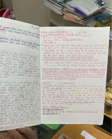 董榛兒 -  學測指考作文批改