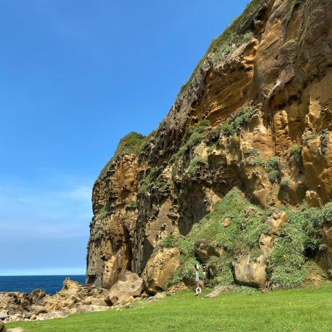 提供711影印pdf服務的專家餅乾星星工作坊