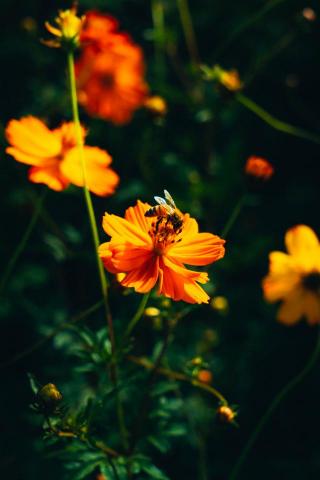 默默無名工作室NOMIN STUDIO - 活動平拍與紀錄