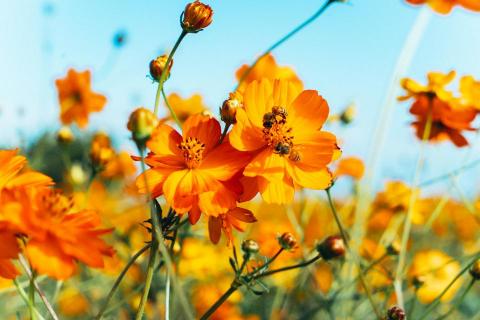 默默無名工作室NOMIN STUDIO - 活動平拍與紀錄