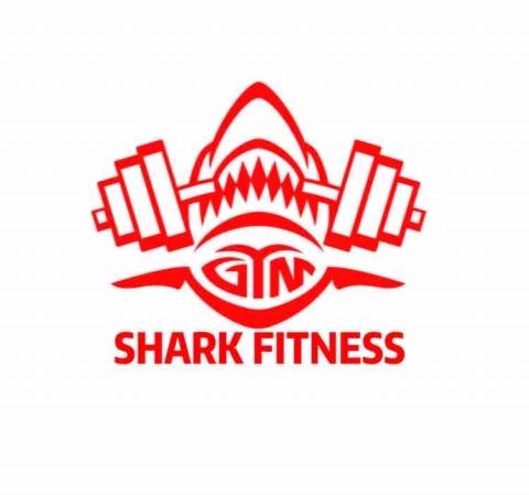 提供esg指標服務的專家SHARK 運動空間