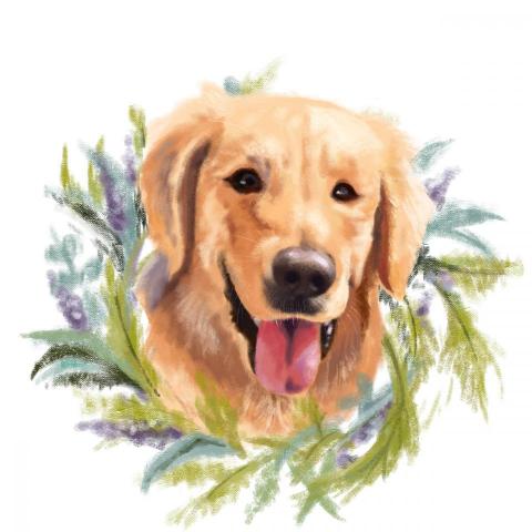 NUO Project - 寵物似顏繪