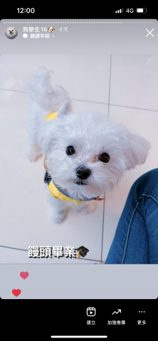 狗狗訓練師Lia思原 - 