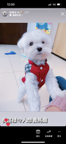 狗狗訓練師Lia思原 - 