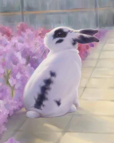 紅豆 - 動物繪製教學範例